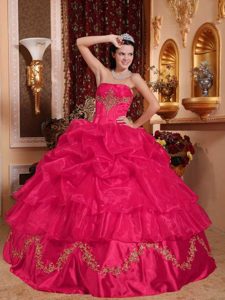 Rojo Vestido De Fiesta Estrapless Hasta El Suelo Organdí Bordado Vestido De Quinceañera